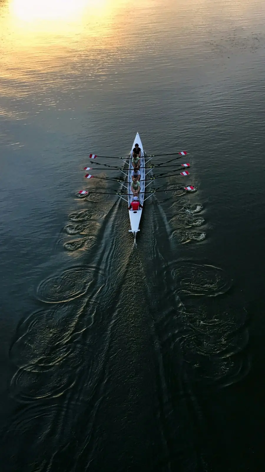 A rowing eight from above, gliding in a long white boat across dark water at golden hour, the oars leaving rings behind