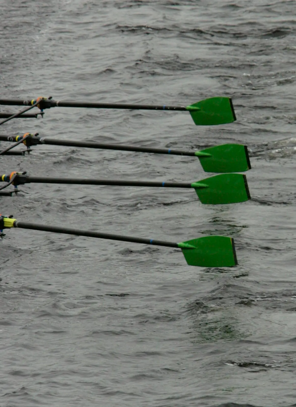 A row of green oar blades squared just above grey water, side by side along the boat