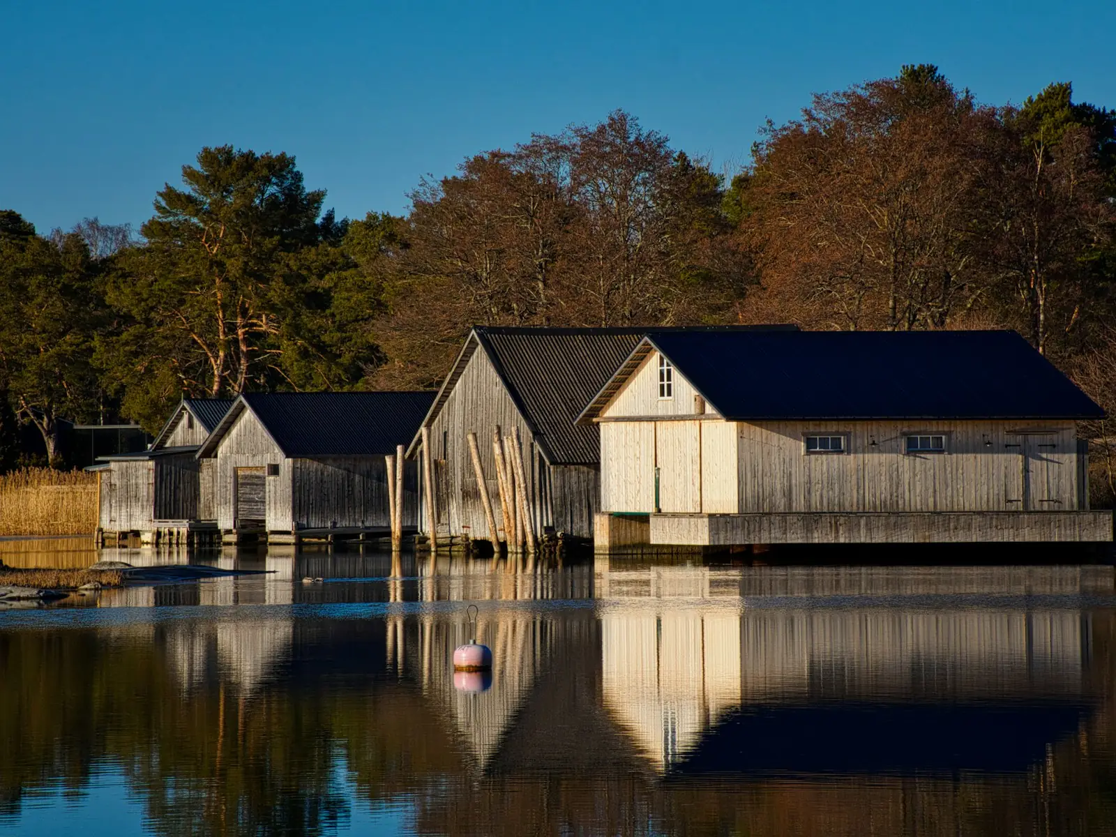 Wooden boathouses on stilts over still water at dusk, autumn trees behind them