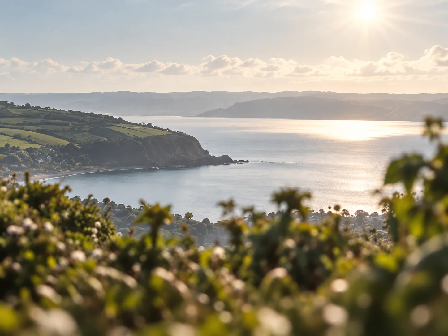 The sea and a green headland seen over a hedge in bright morning haze
