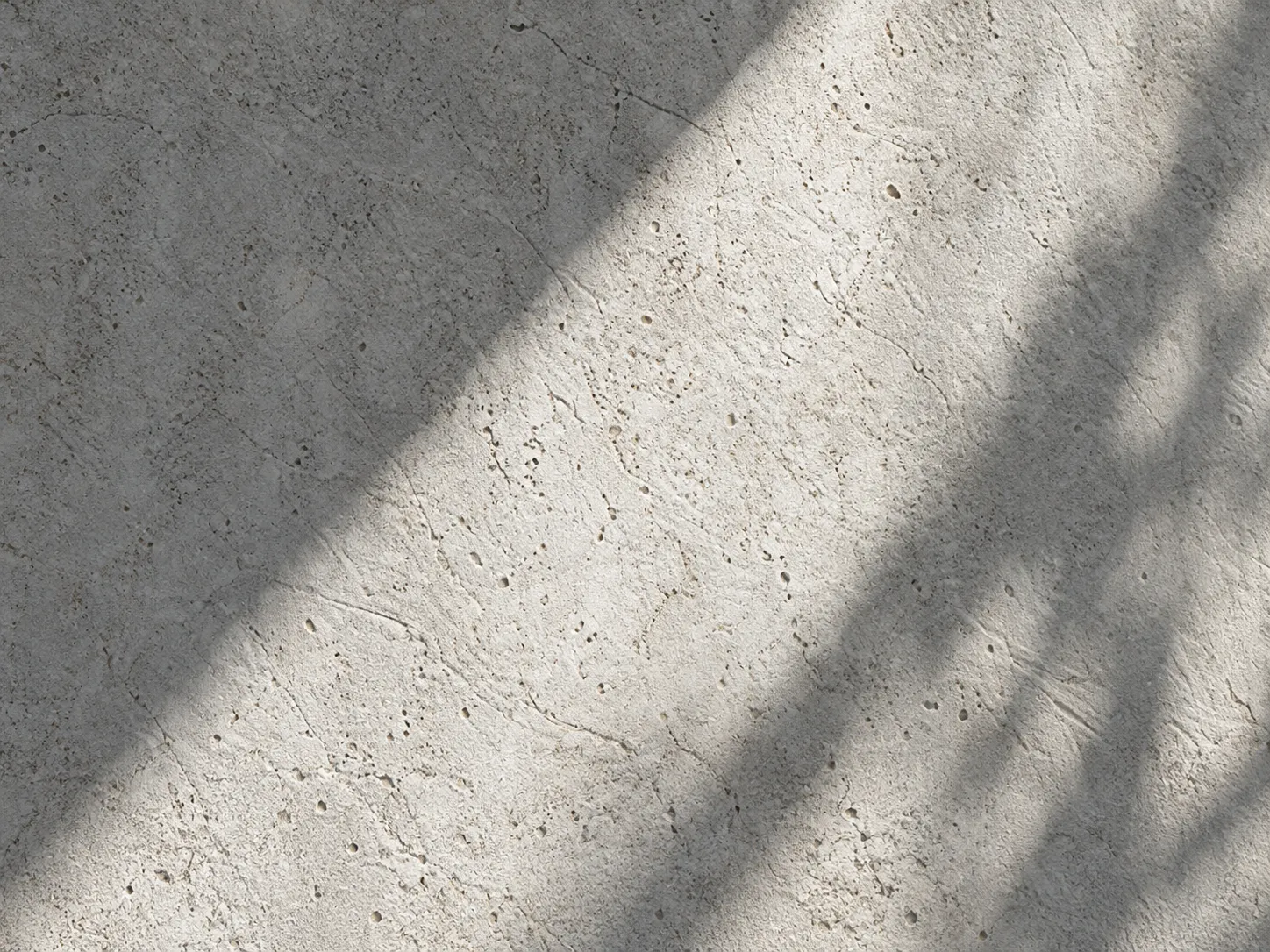 Eine Wand aus hellem Sichtbeton, über die ein Schatten von Blättern fällt