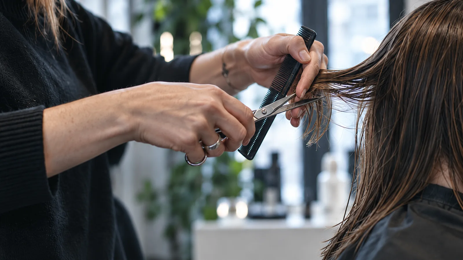 Close-up of a stylist's hands cutting a lock of long wet brown hair with scissors and a comb
