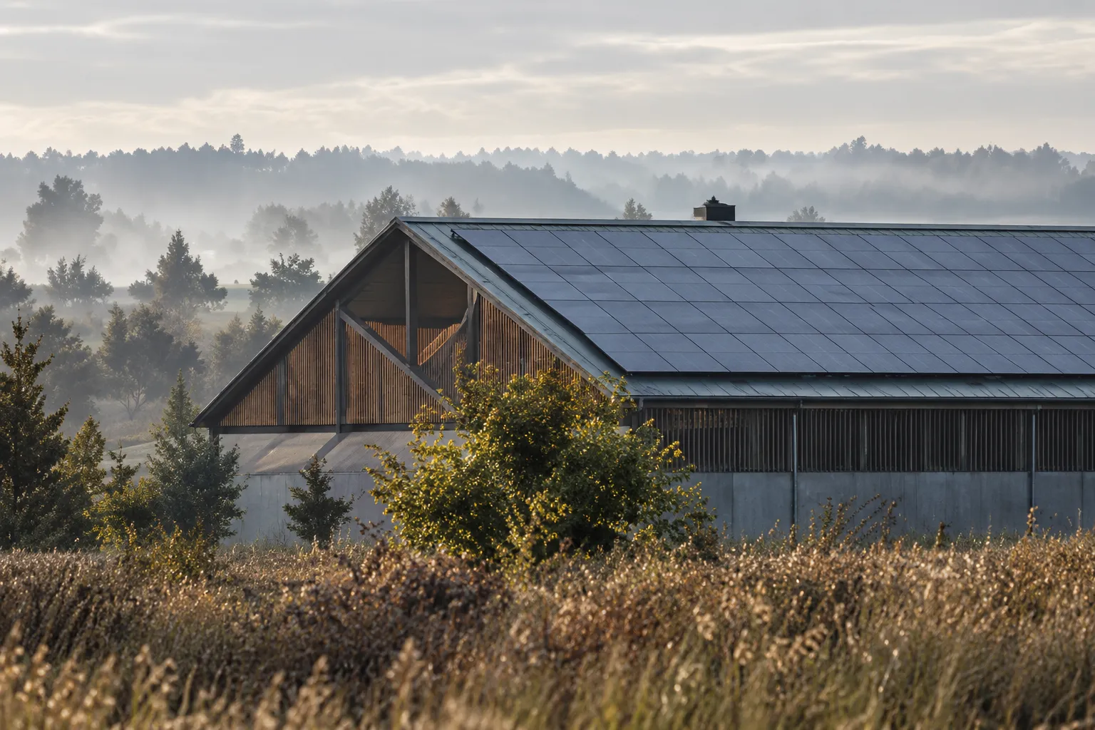 Eine große Hofhalle mit dunklem Solardach im Morgennebel